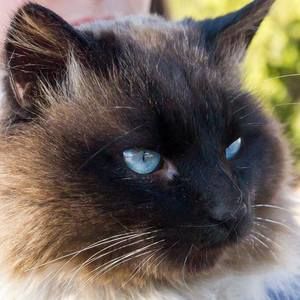 Meet your Posher, Candace